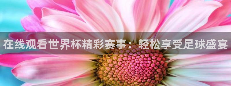 2026男足世界杯：在线观看世界杯精彩赛事：轻松享受足球盛宴