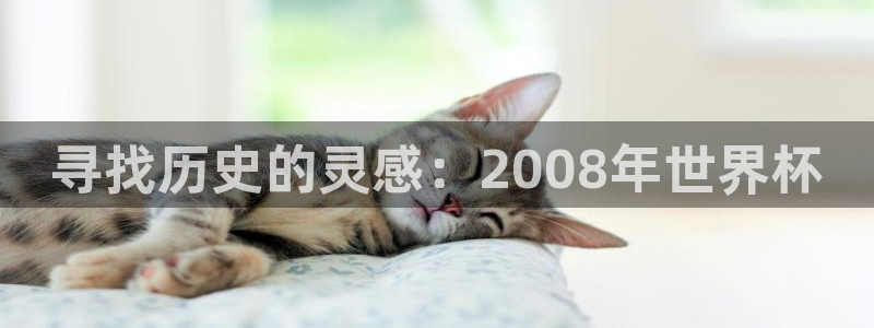 女足世界杯直播在线观看免费高清：寻找历史的灵感：2008年世界杯
