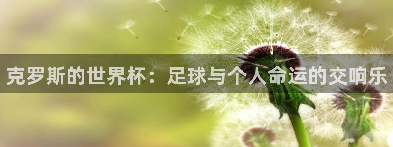 世界杯 直播：克罗斯的世界杯：足球与个人命运的交响乐