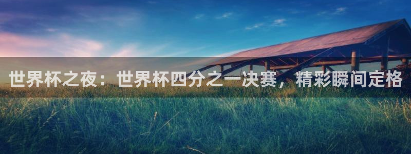女足世界杯直播：世界杯之夜：世界杯四分之一决赛，精彩瞬间定格