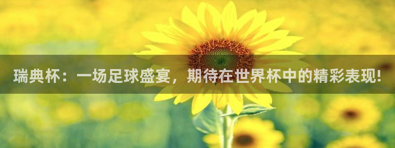 世预赛免费直播入口：瑞典杯：一场足球盛宴，期待在世界杯中的精彩表现!