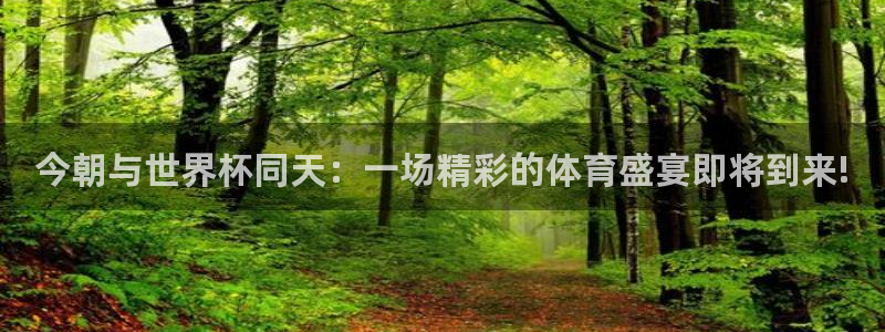 2026世界杯赛程：今朝与世界杯同天：一场精彩的体育盛宴即将到来!