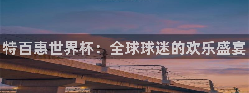 世界杯足球赛：特百惠世界杯：全球球迷的欢乐盛宴