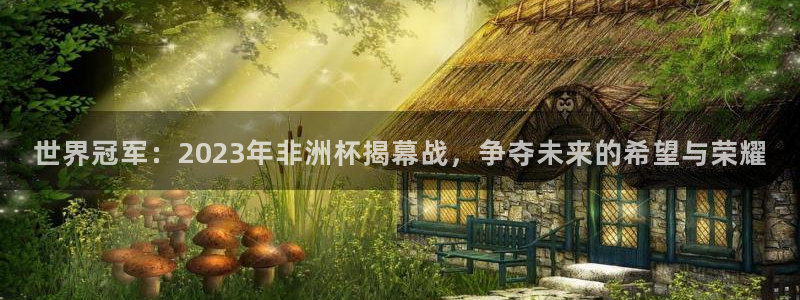 世界杯2026比赛时间表：世界冠军：2023年非洲杯揭幕战，争夺未来的希望与荣耀