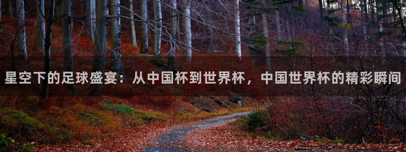 世界杯官网入口：星空下的足球盛宴：从中国杯到世界杯，中国世界杯的精彩瞬间