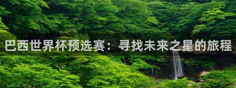 世界杯预选赛亚洲：巴西世界杯预选赛：寻找未来之星的旅程