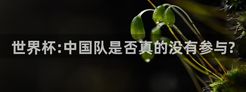2026 世界杯：世界杯:中国队是否真的没有参与?