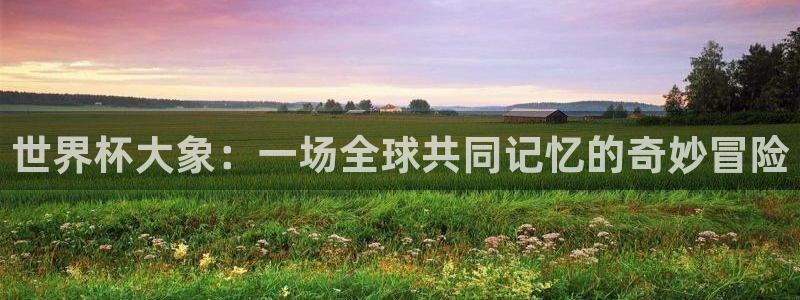 今年世界杯：世界杯大象：一场全球共同记忆的奇妙冒险