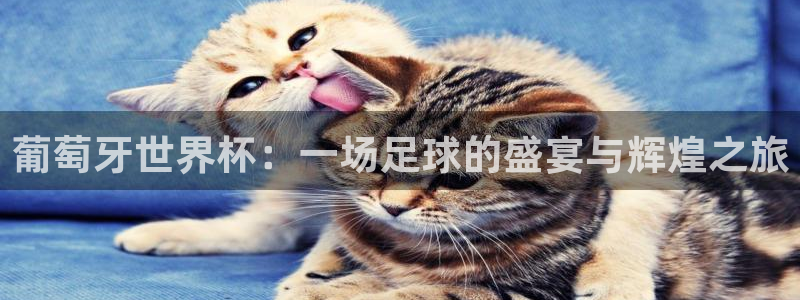 世界杯女足直播：葡萄牙世界杯：一场足球的盛宴与辉煌之旅