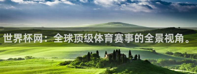2026年足球世界杯赛程时间表：世界杯网：全球顶级体育赛事的全景视角。
