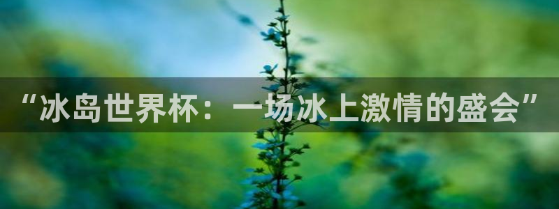 世界杯预选赛亚洲：“冰岛世界杯：一场冰上激情的盛会”