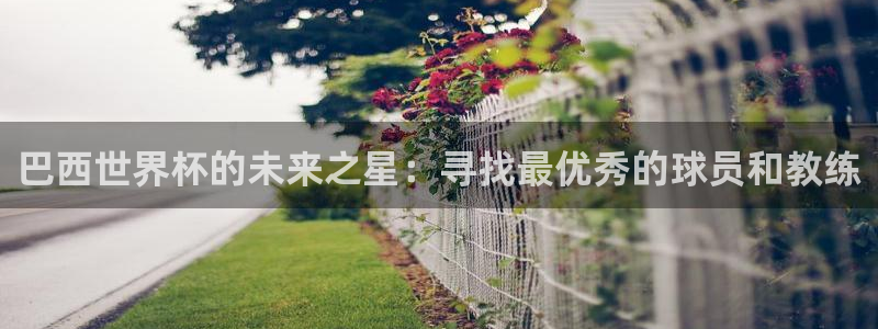 女足世界杯赛程：巴西世界杯的未来之星：寻找最优秀的球员和教练