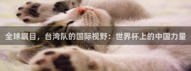 世界杯预选赛2026：全球瞩目，台湾队的国际视野：世界杯上的中国力量