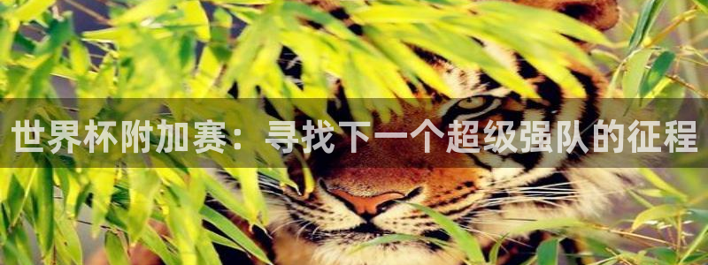 2026世预赛赛程：世界杯附加赛：寻找下一个超级强队的征程