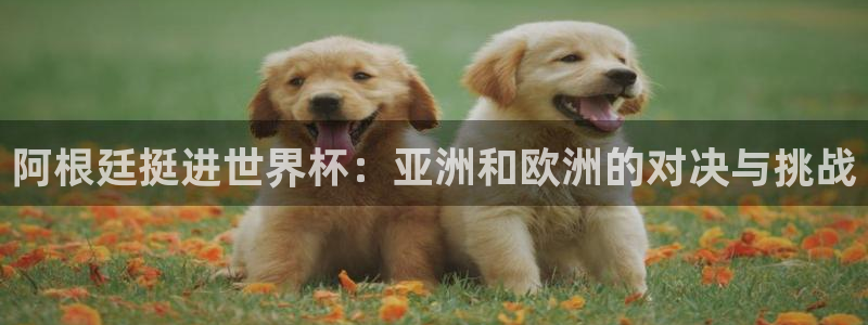 2026世界杯官网入口：阿根廷挺进世界杯：亚洲和欧洲的对决与挑战