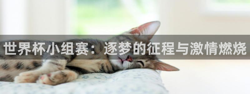 世界杯预选赛亚洲区积分榜：世界杯小组赛：逐梦的征程与激情燃烧