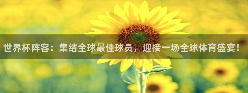 2026世界杯官网：世界杯阵容：集结全球最佳球员，迎接一场全球体育盛宴！